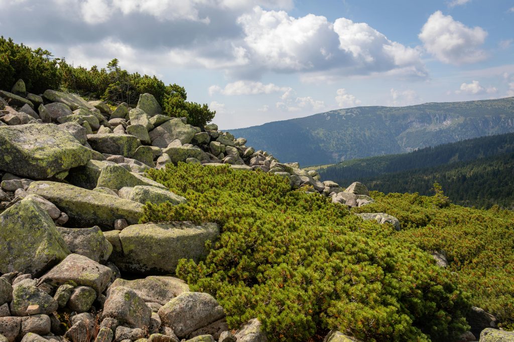 podróż w góry świętokrzyskie planowanie i wyjazd